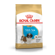 Royal Canin Shih Tzu Puppy – Hrană Uscată pentru Pui de Câine din Rasa Shih Tzu, 1,5 kg